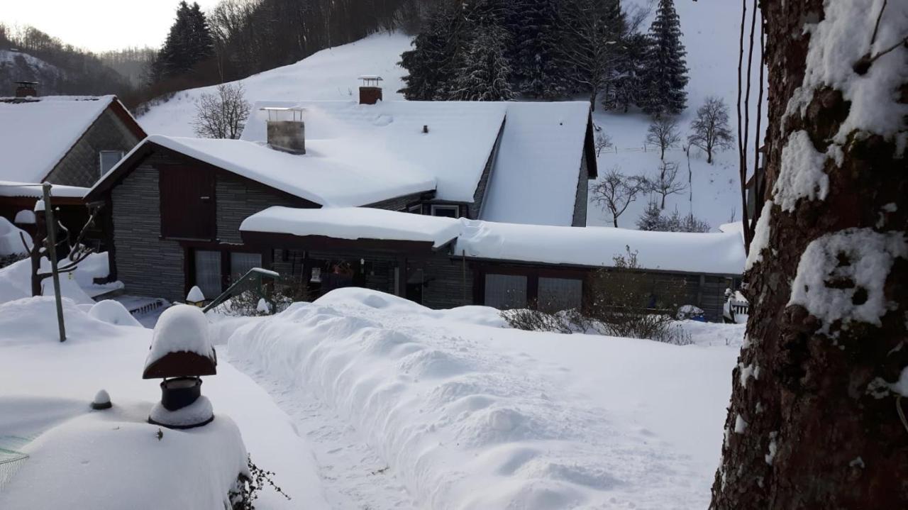Haus Wiesenblick Валькенрид Экстерьер фото
